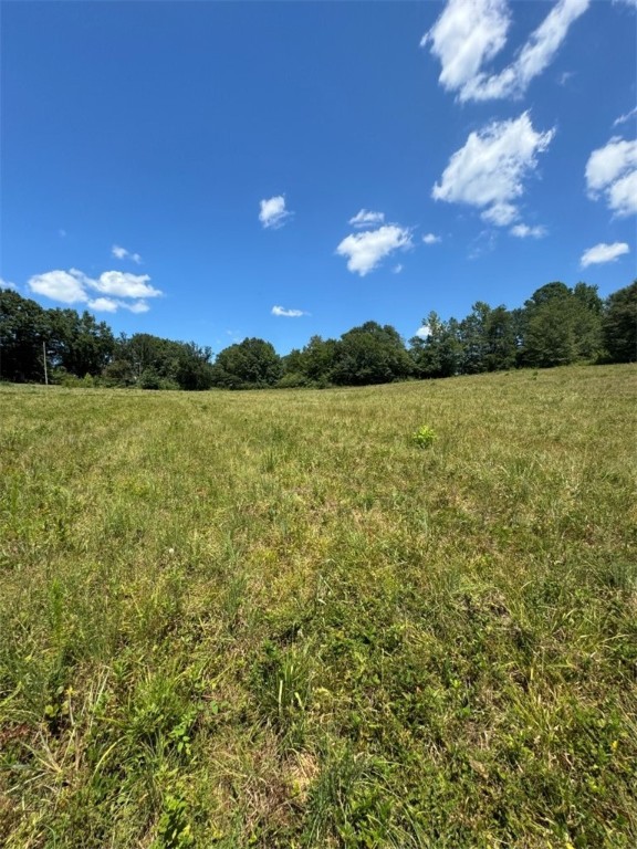 1 Five Forks Road Liberty, SC 29657 - Photo 19 of 20