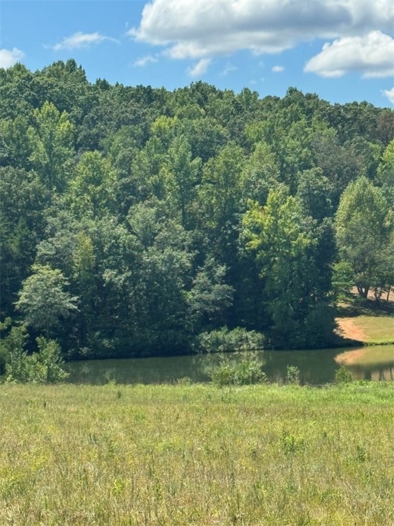 1 Five Forks Road Liberty, SC 29657 - Photo 10 of 20