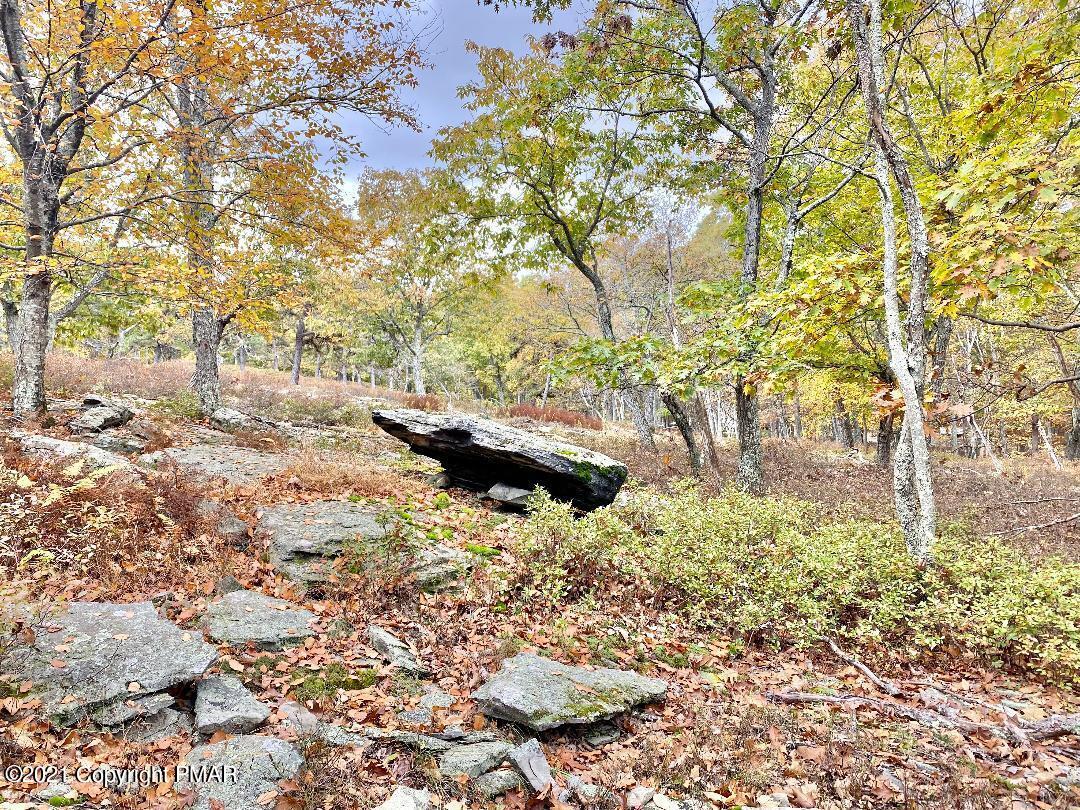 3196 Bobcat Drive Bushkill, PA 18324 - Photo 19 of 24 a backyard of a house with lots of green space