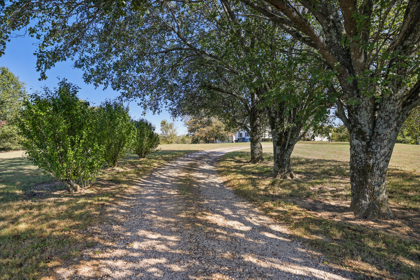 2597 McKnight Road Culleoka, TN 38451 - Photo 3 of 69 Gallery Image 3