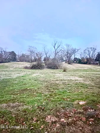 $37,500 | 0 Southwest 4th Avenue, Magee, MS 39111