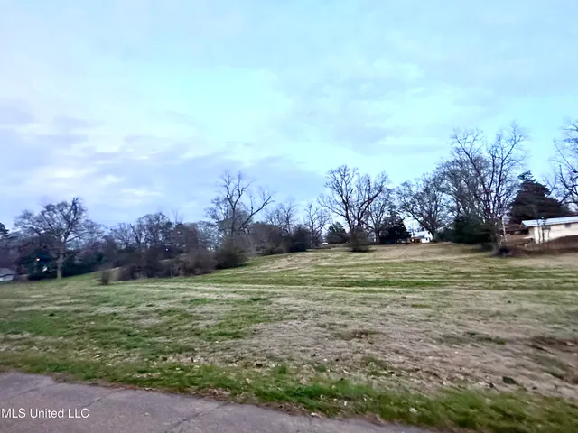 $37,500 | 0 Southwest 4th Avenue, Magee, MS 39111