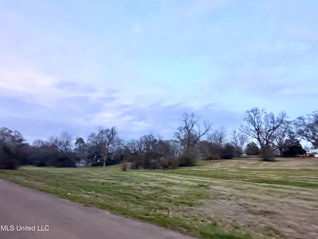 $37,500 | 0 Southwest 4th Avenue, Magee, MS 39111