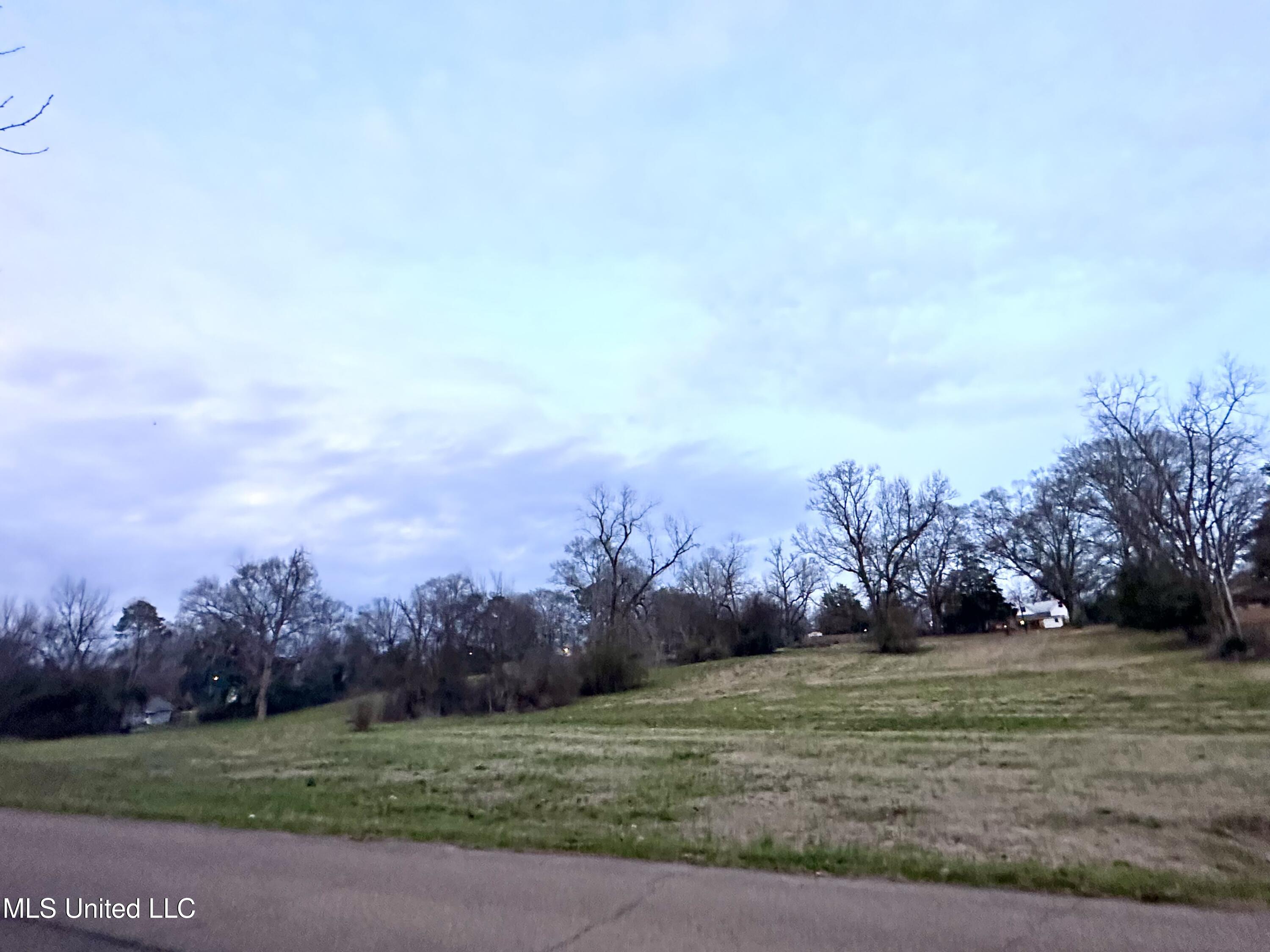 0 Southwest 4th Avenue Magee, MS 39111 - Photo 9 of 10 IMG_4937