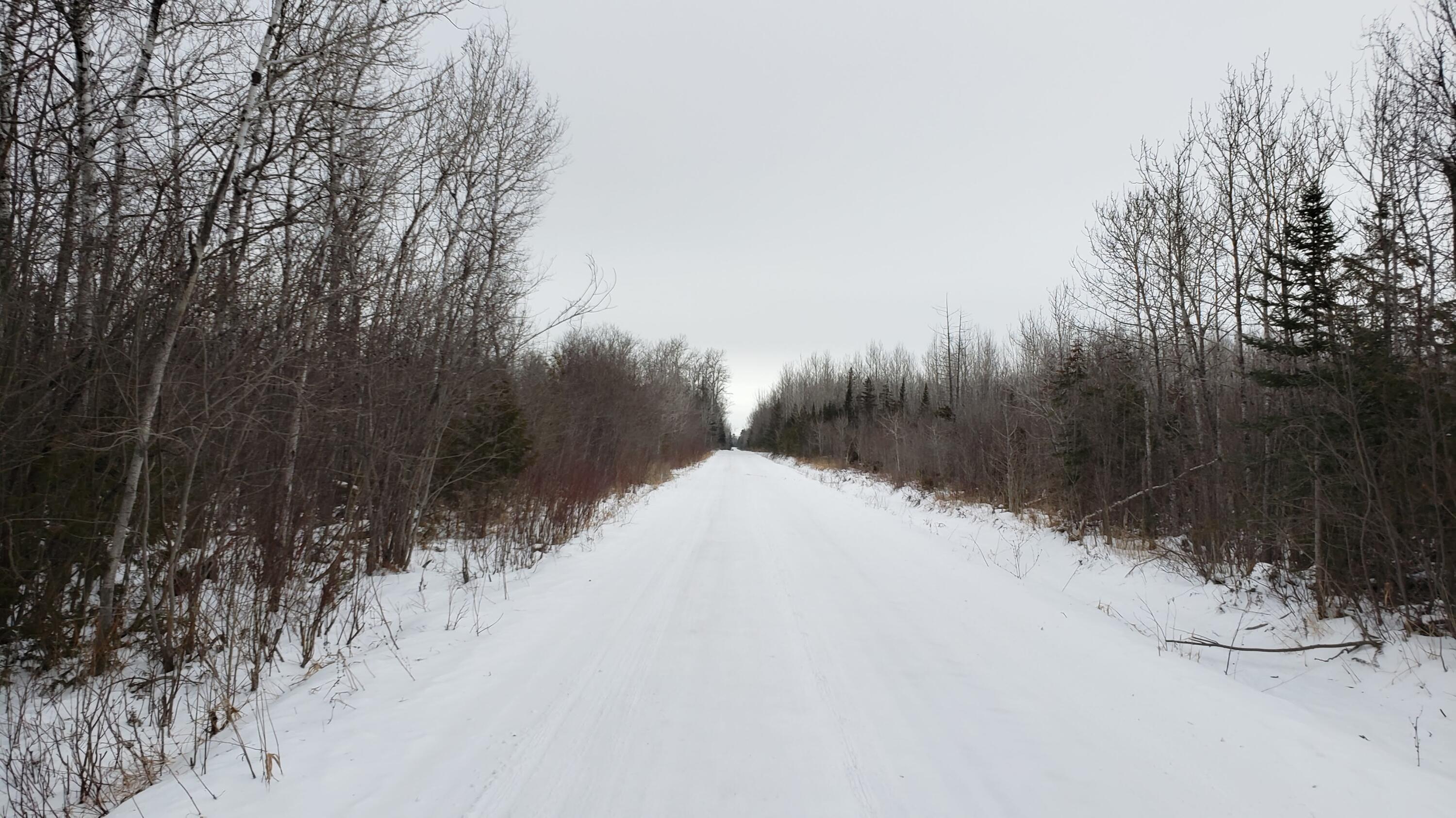 Hebron Mail Road Cheboygan, MI 49721 - Photo 14 of 15 Gallery Image 14