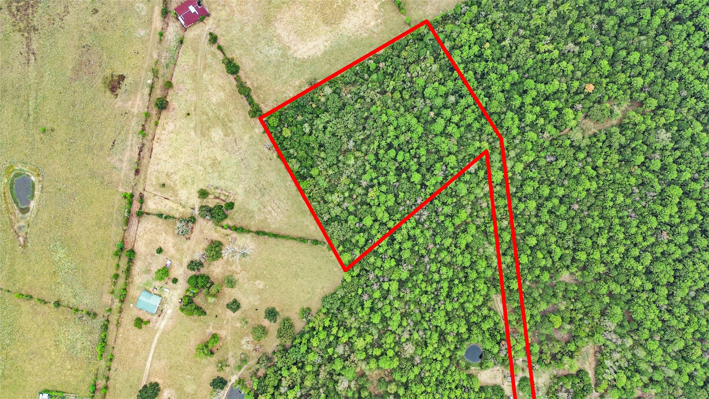 94 South St Trinity Tx 75862 Trinity, TX 75862 - Photo 5 of 6
