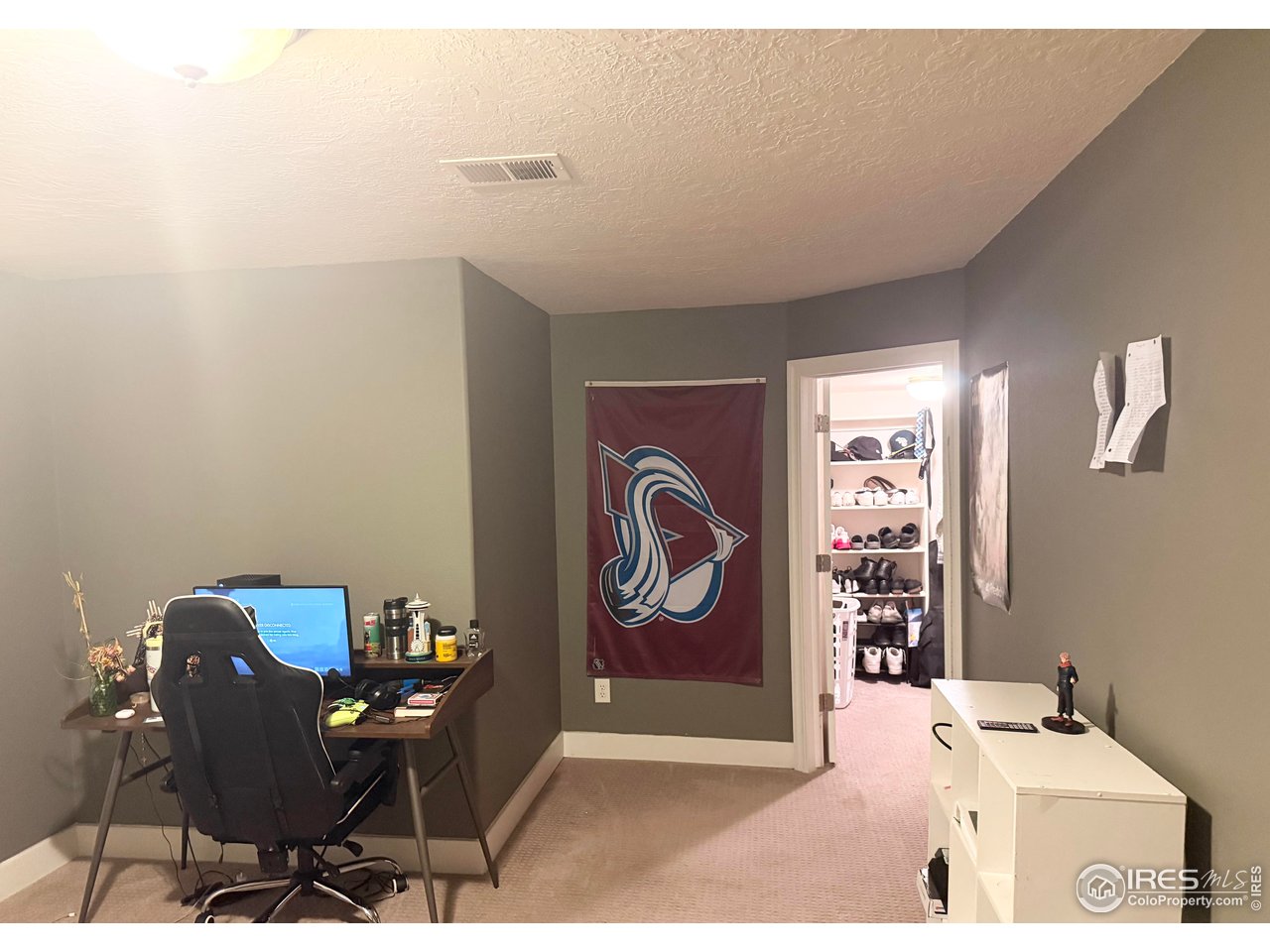 1460 Hawkridge Road Eaton, CO 80615 - Photo 19 of 22