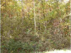 17 Deer Street Winhall, VT 05340 - Photo 1 of 1