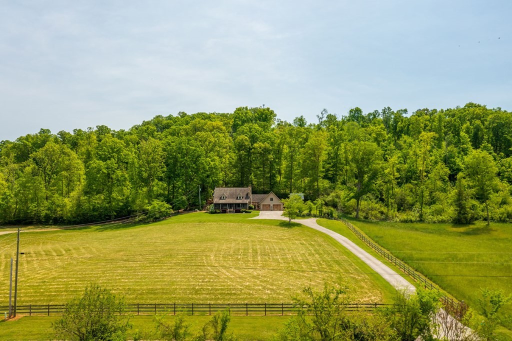 1150 Camellia Road Newport, TN 37821 - Photo 44 of 52 Gallery Image 44