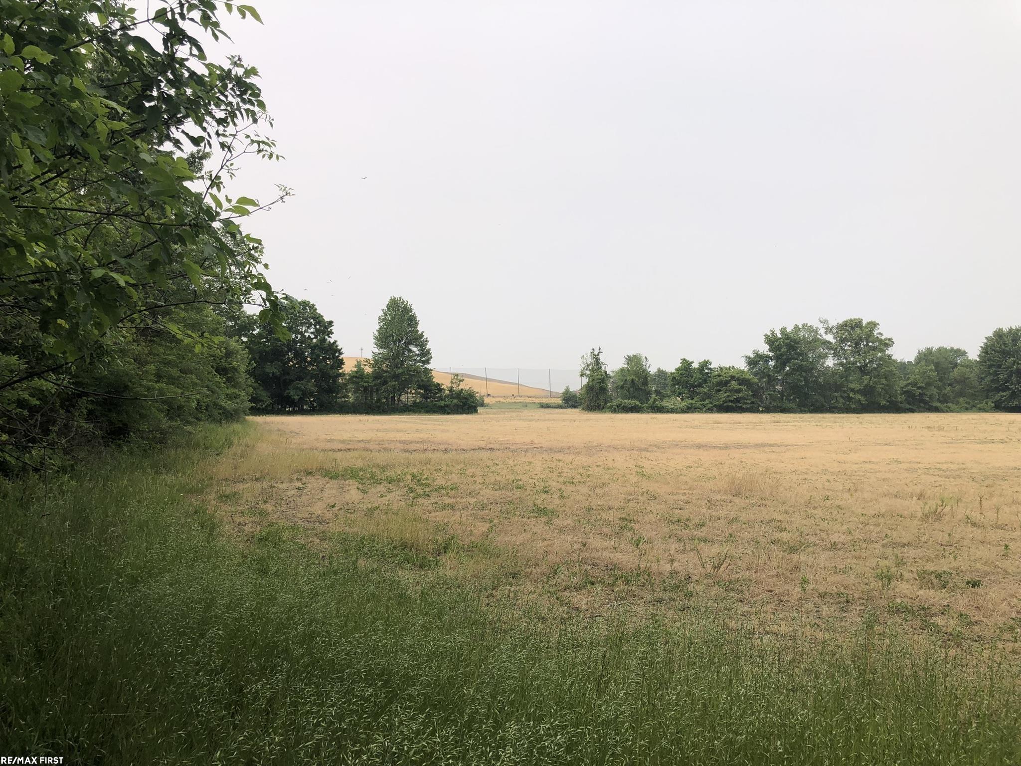 0 29 29 Mile Road New Haven, MI 48050 - Photo 16 of 38