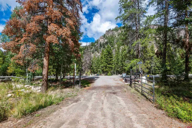 a view of a park with large trees