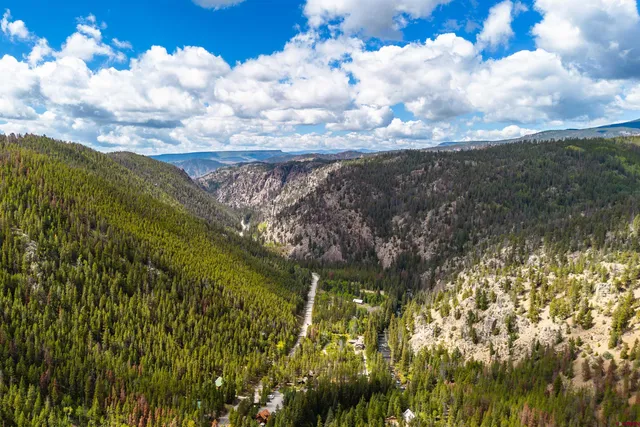 a view of a lake with lots of trees