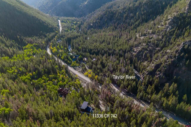 a view of a lush green forest with lots of trees
