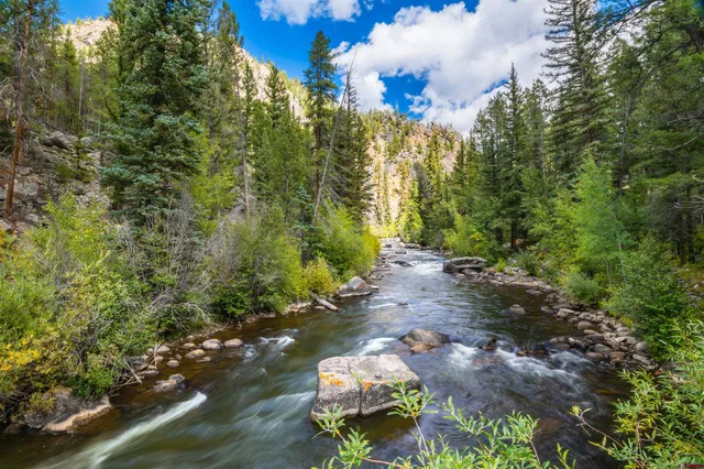 a view of a street with some trees