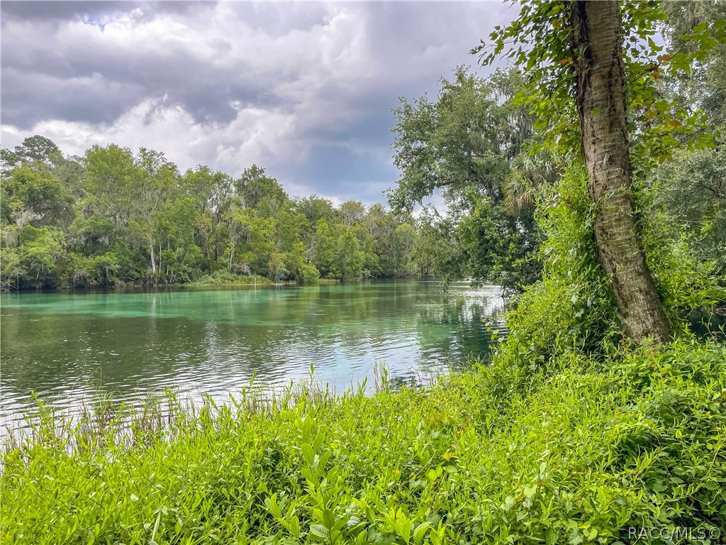 18976 Southwest 93rd Loop Dunnellon, FL 34432 - Photo 82 of 82