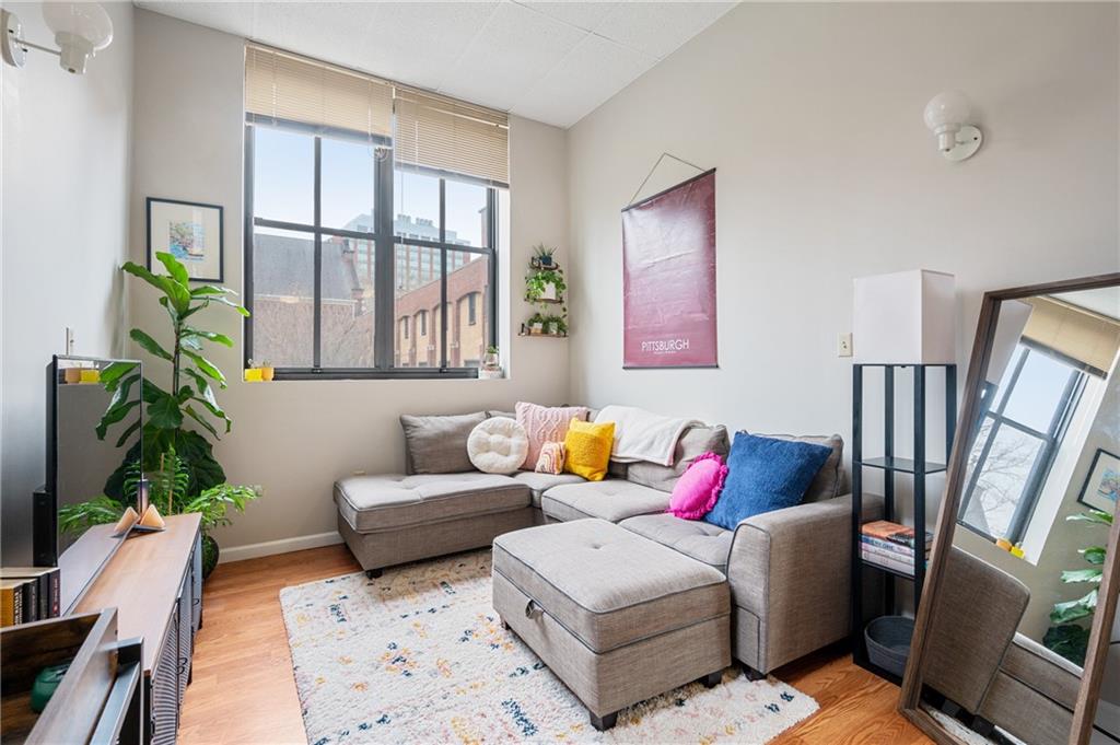 330 46th Street Pittsburgh, PA 15201 - Photo 14 of 25 a living room with furniture and a potted plant