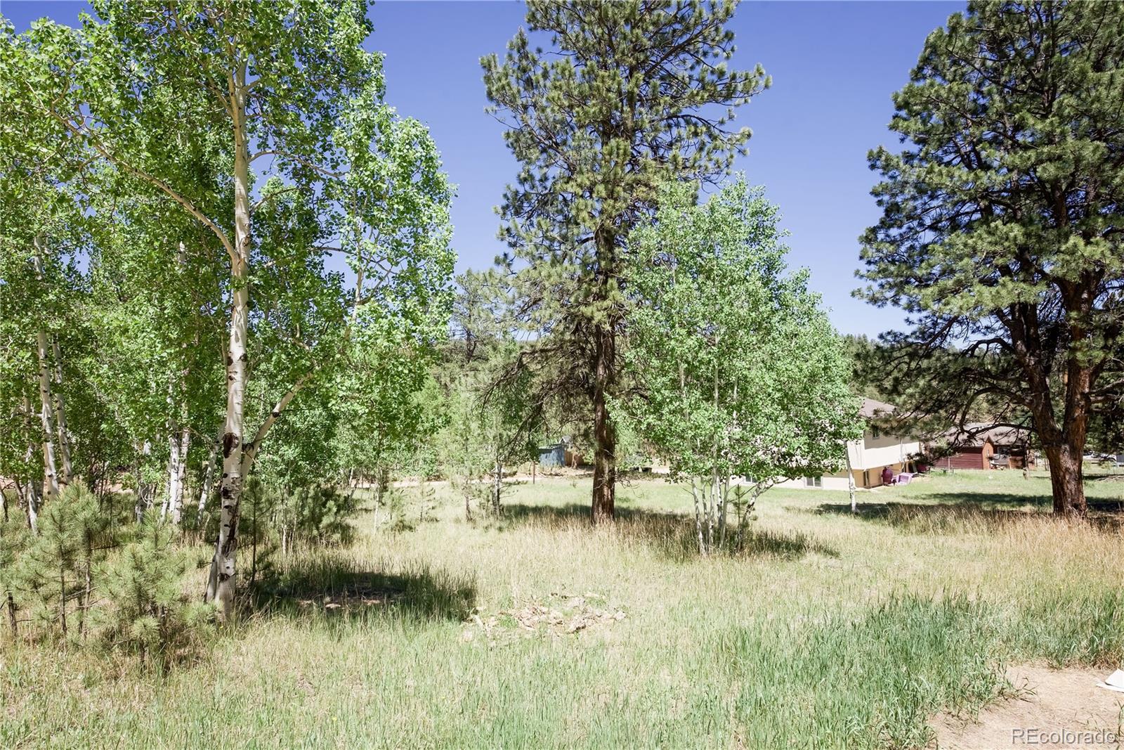 126 Sullivan Street Bailey, CO 80421 - Photo 15 of 22