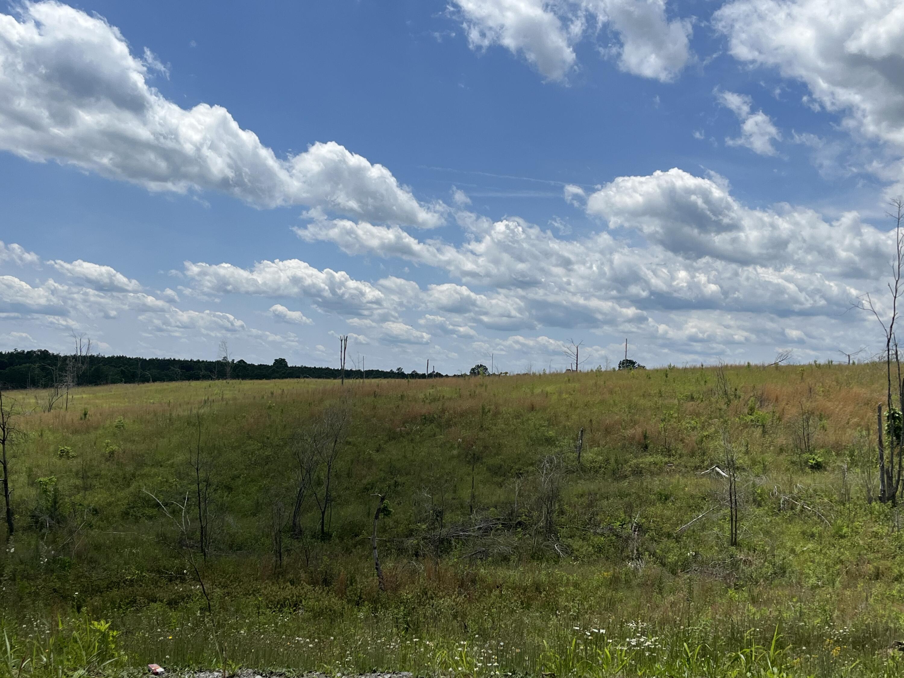 4 Fredonia Mountain Road Dunlap, TN 37327 - Photo 1 of 19 Photo May 29 2024, 2 41 02 PM