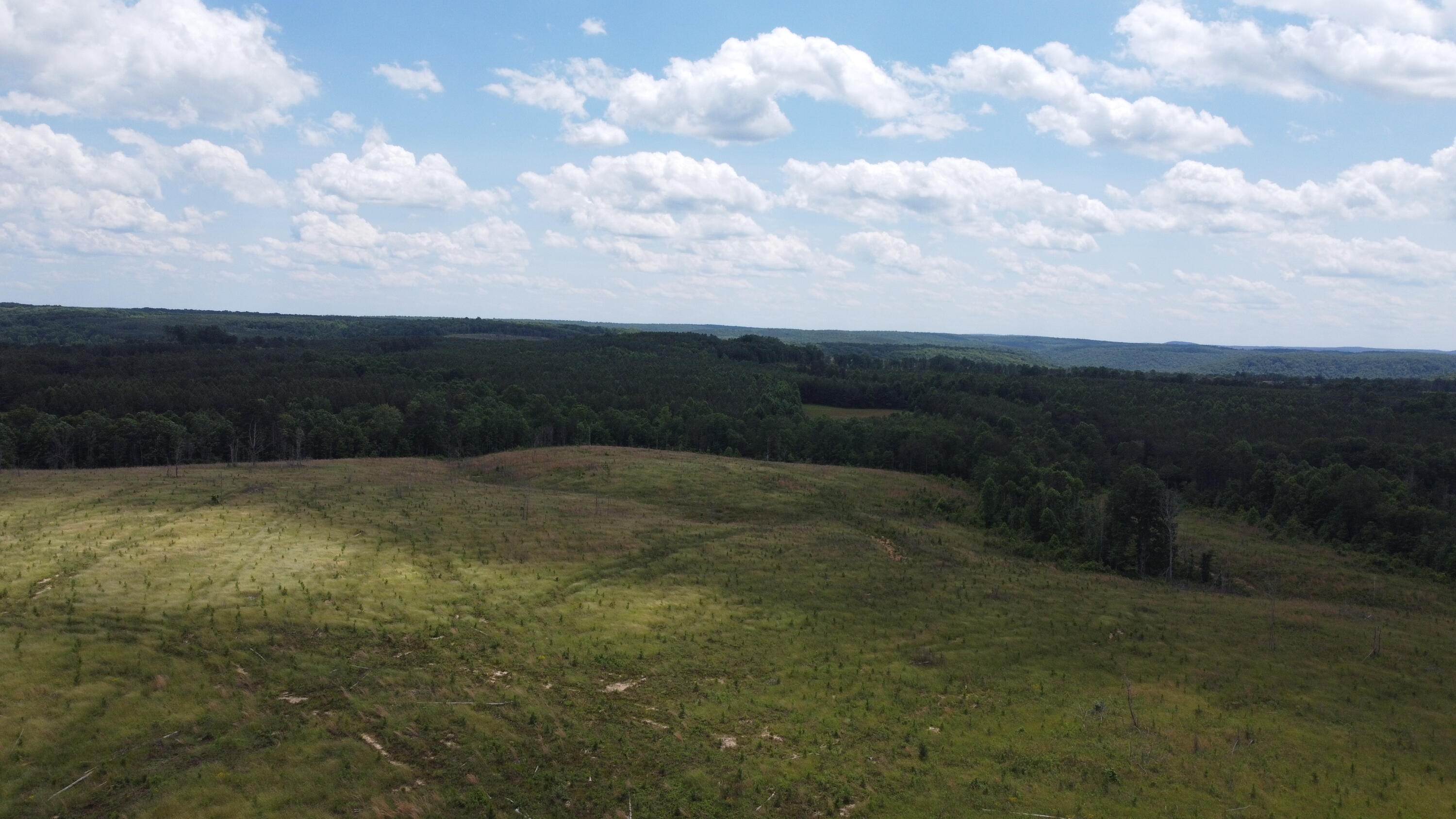 4 Fredonia Mountain Road Dunlap, TN 37327 - Photo 11 of 19 Photo May 29 2024, 2 48 50 PM