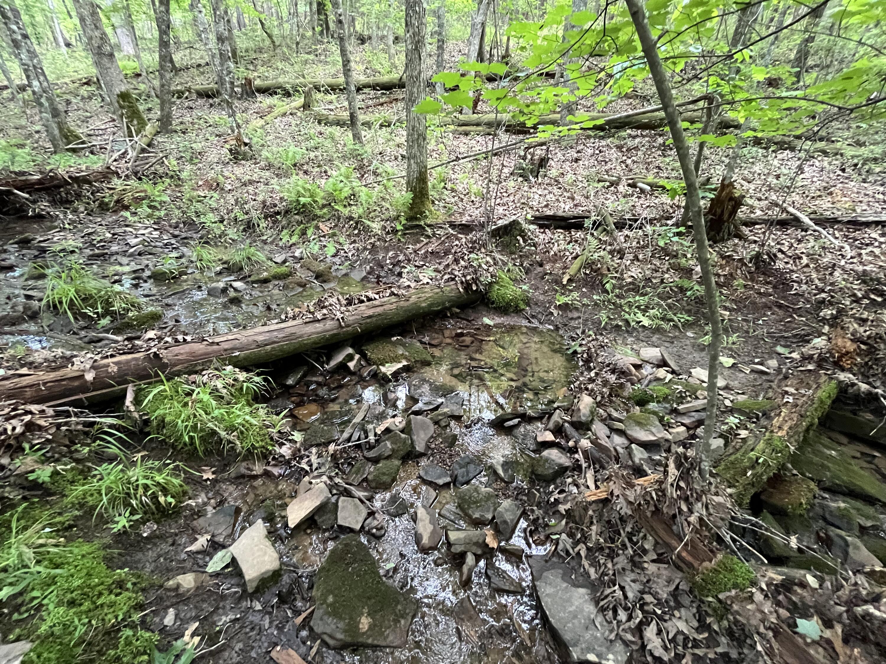4 Fredonia Mountain Road Dunlap, TN 37327 - Photo 17 of 19 Photo May 29 2024, 2 06 42 PM