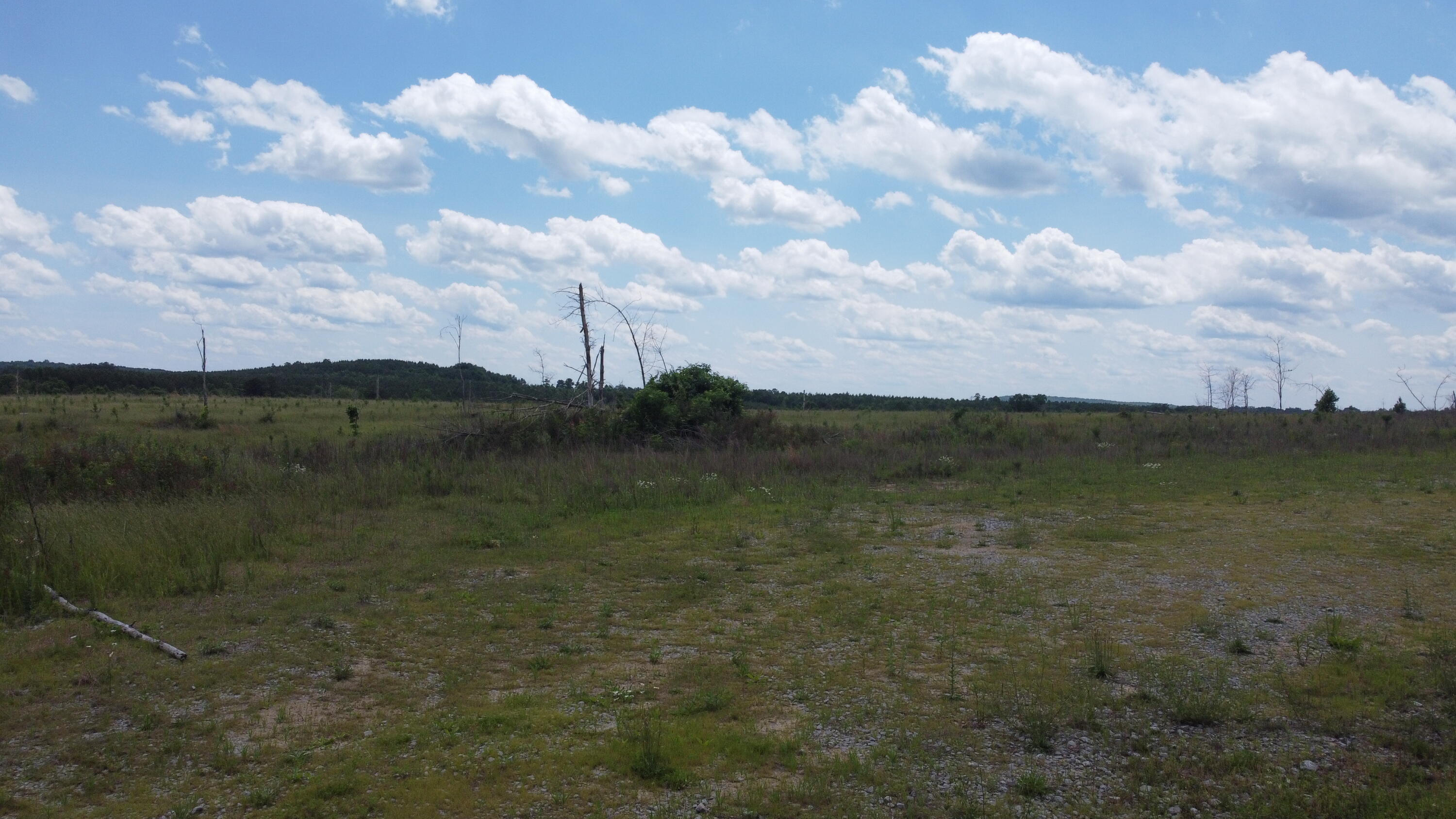 4 Fredonia Mountain Road Dunlap, TN 37327 - Photo 3 of 19 Photo May 29 2024, 2 47 33 PM