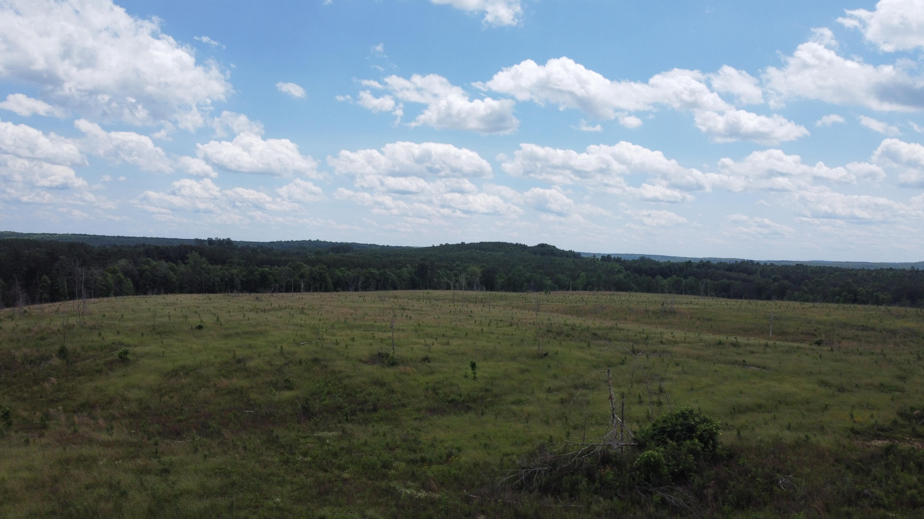 4 Fredonia Mountain Road Dunlap, TN 37327 - Photo 4 of 19 Photo May 29 2024, 2 47 44 PM