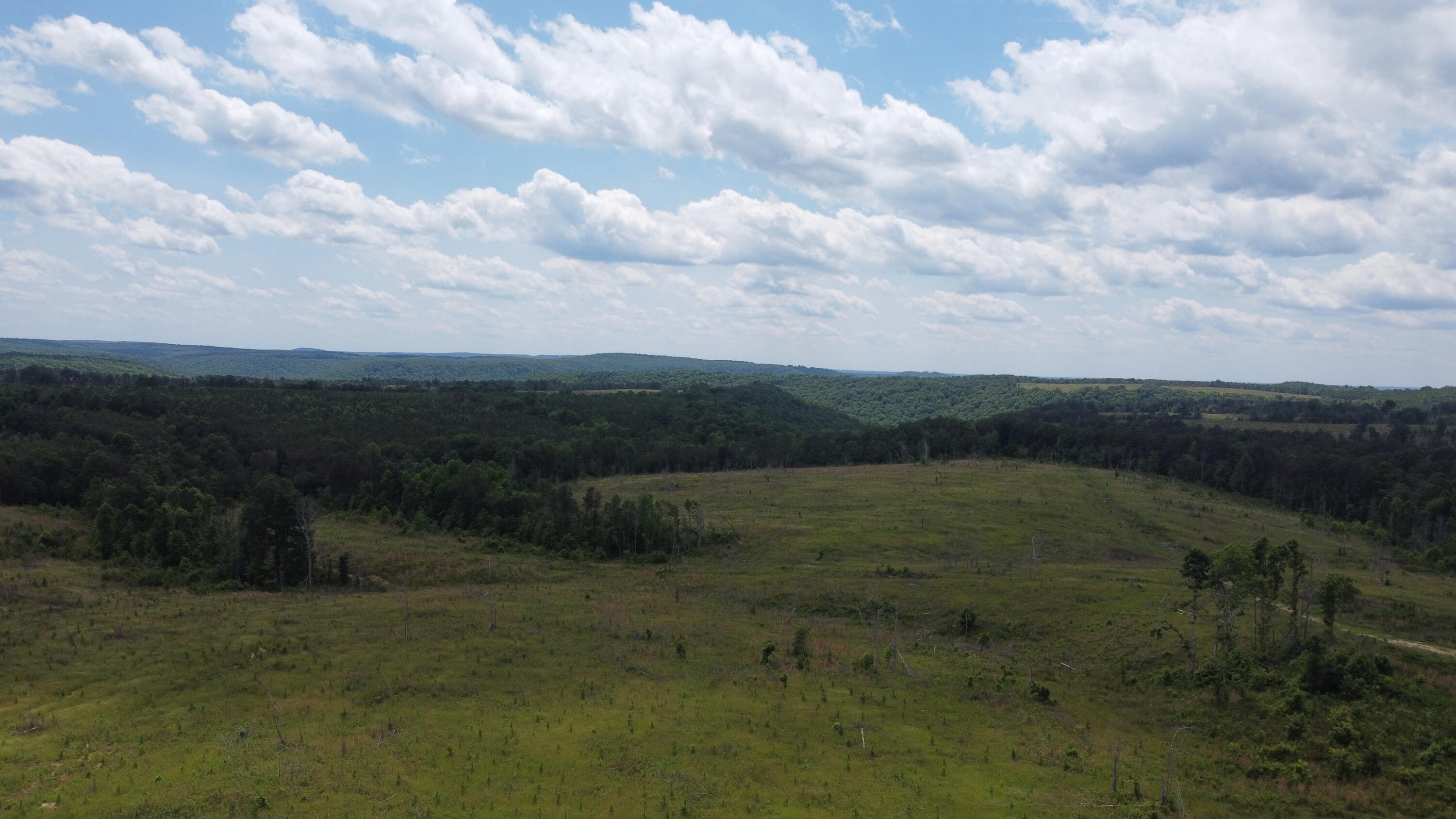 4 Fredonia Mountain Road Dunlap, TN 37327 - Photo 10 of 19 Photo May 29 2024, 2 48 48 PM