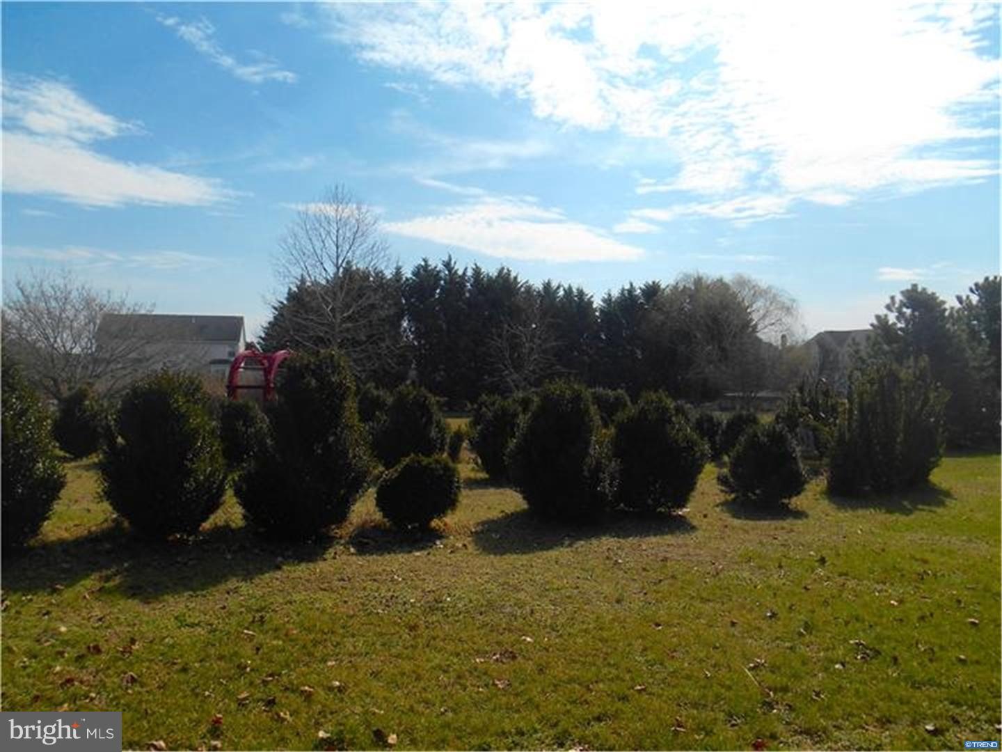 326 Thomas Landing Road Middletown, DE 19709 - Photo 23 of 25