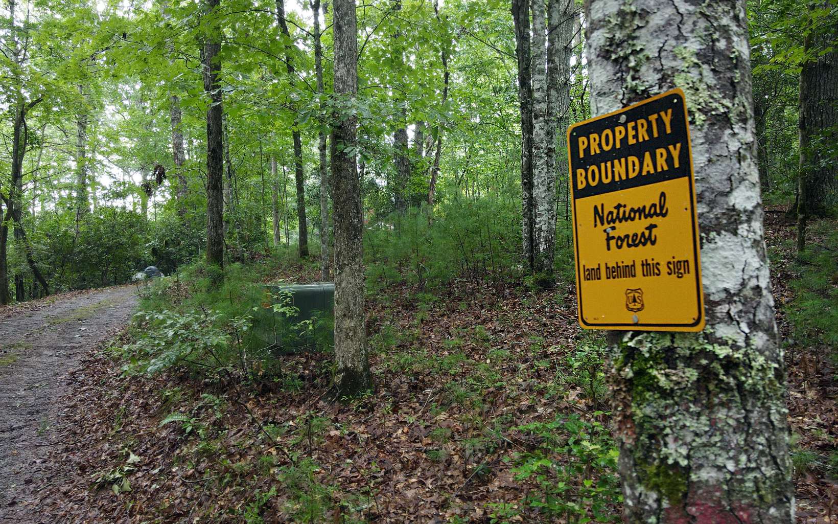 163 Ridgecrest Drive Blue Ridge, GA 30513 - Photo 1 of 55 Main View