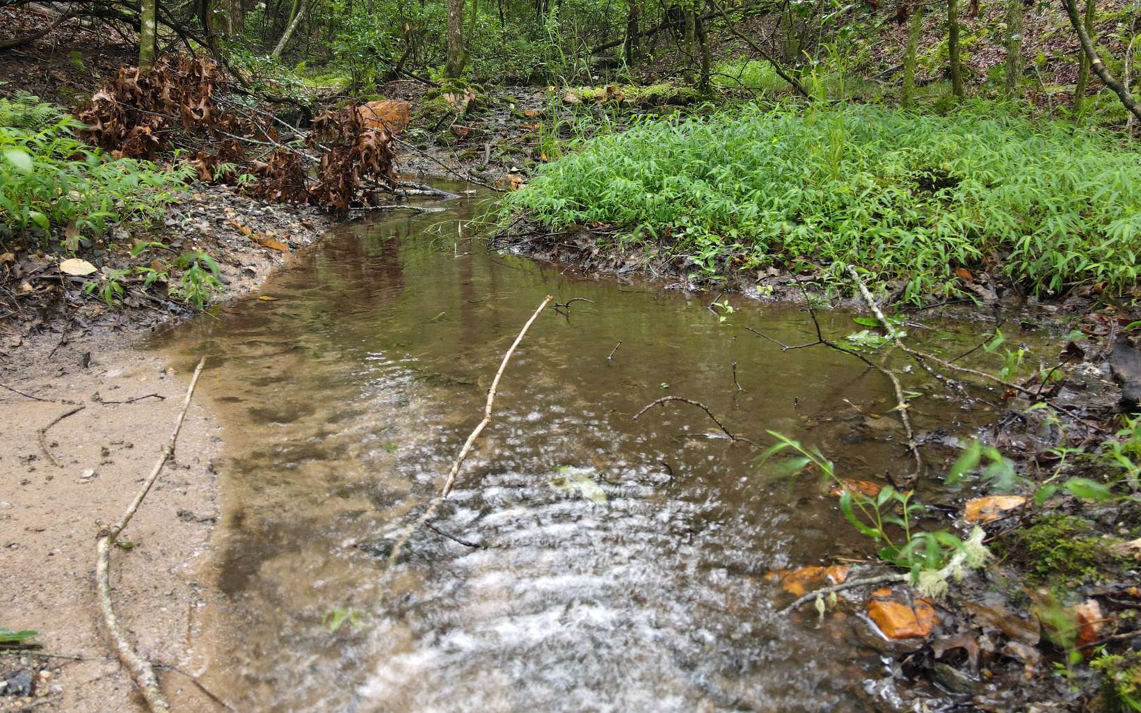 163 Ridgecrest Drive Blue Ridge, GA 30513 - Photo 11 of 55 Additional View