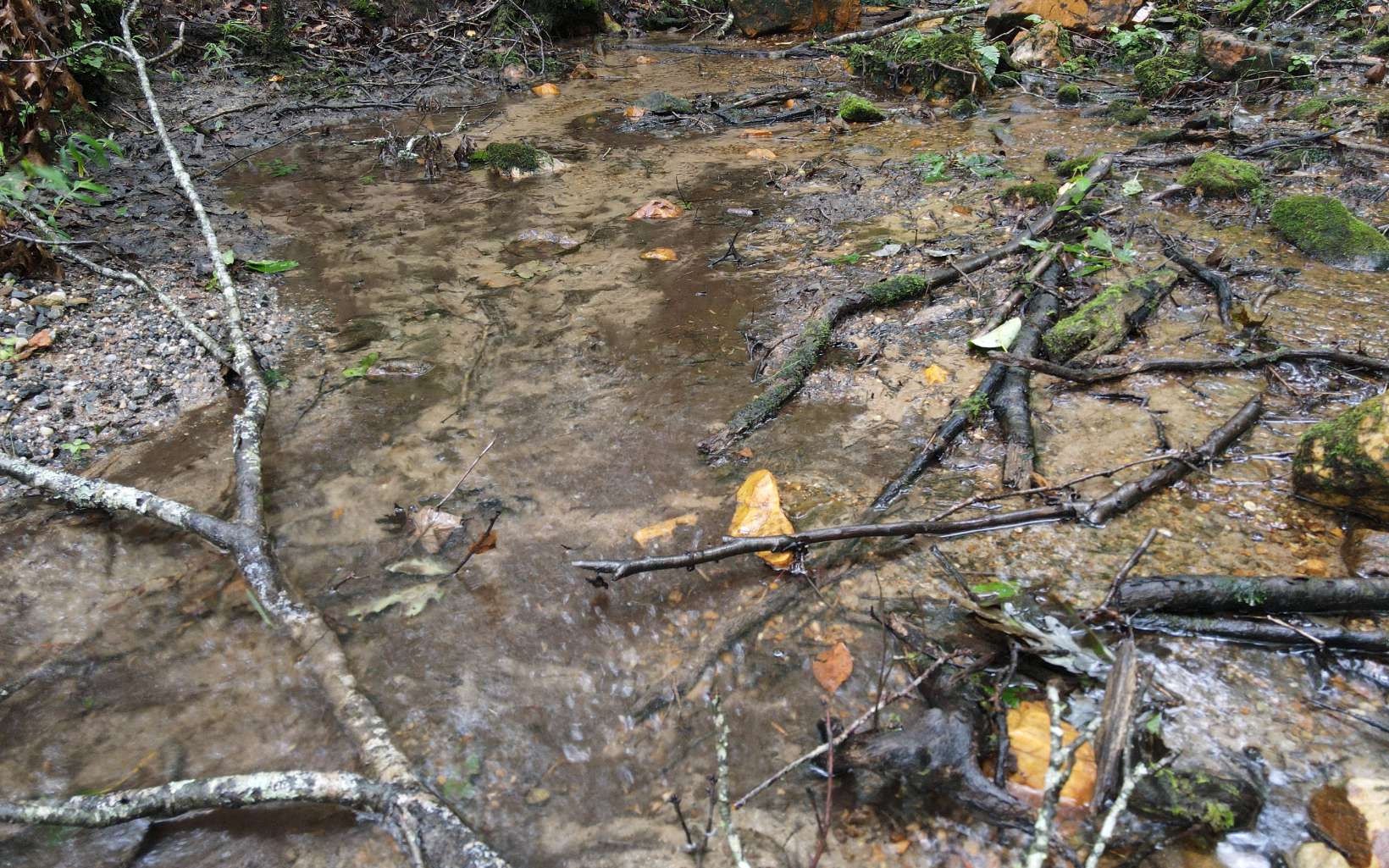 163 Ridgecrest Drive Blue Ridge, GA 30513 - Photo 12 of 55 Additional View