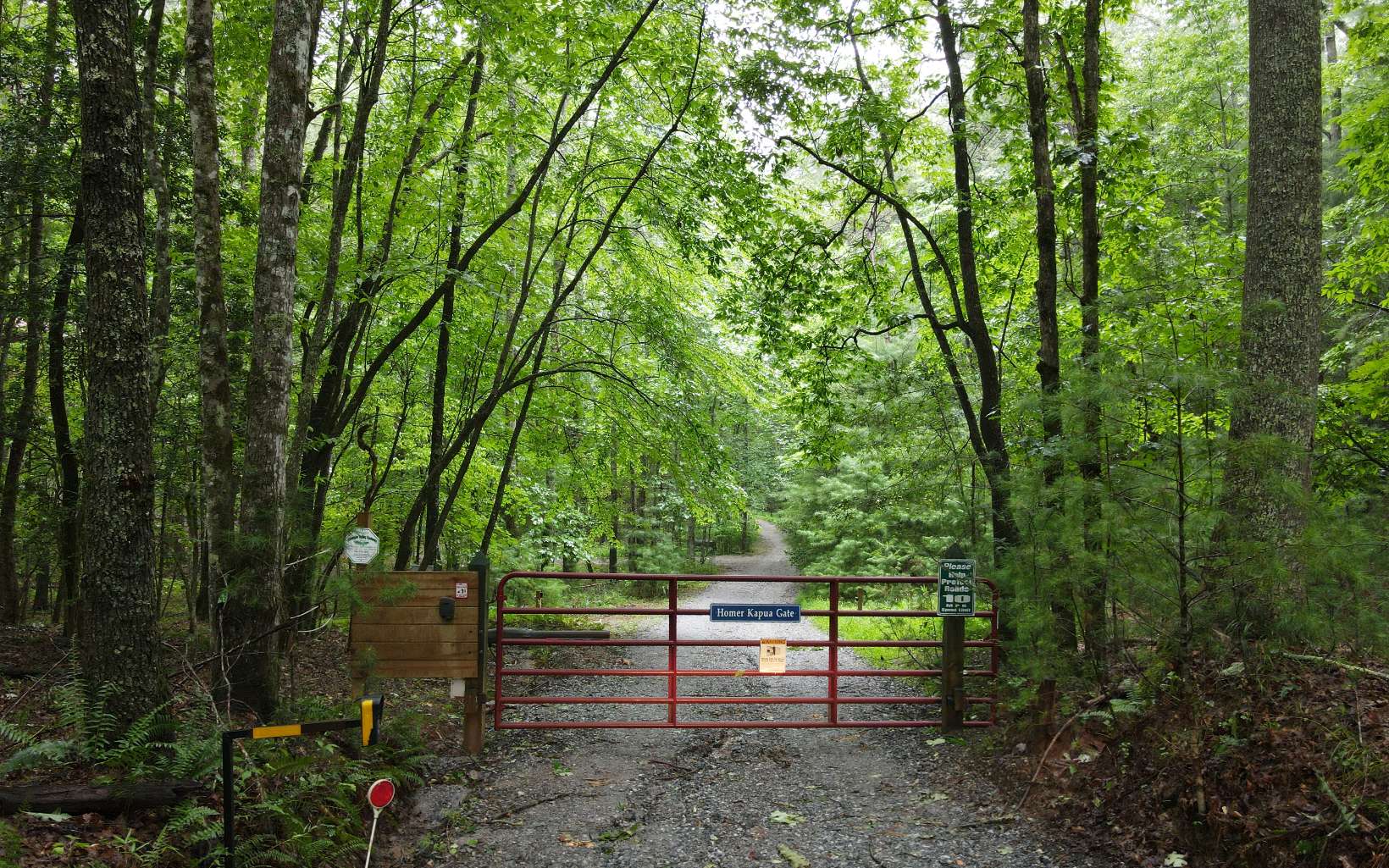 163 Ridgecrest Drive Blue Ridge, GA 30513 - Photo 13 of 55 Additional View