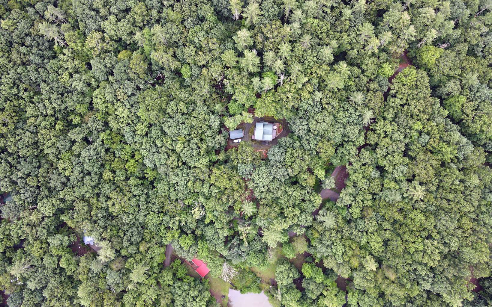 163 Ridgecrest Drive Blue Ridge, GA 30513 - Photo 15 of 55 Additional View