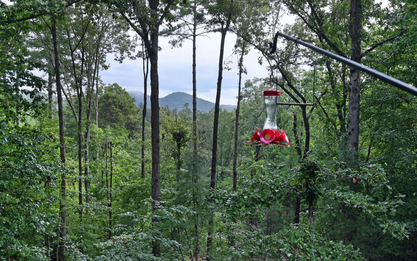 163 Ridgecrest Drive Blue Ridge, GA 30513 - Photo 23 of 55 Additional View