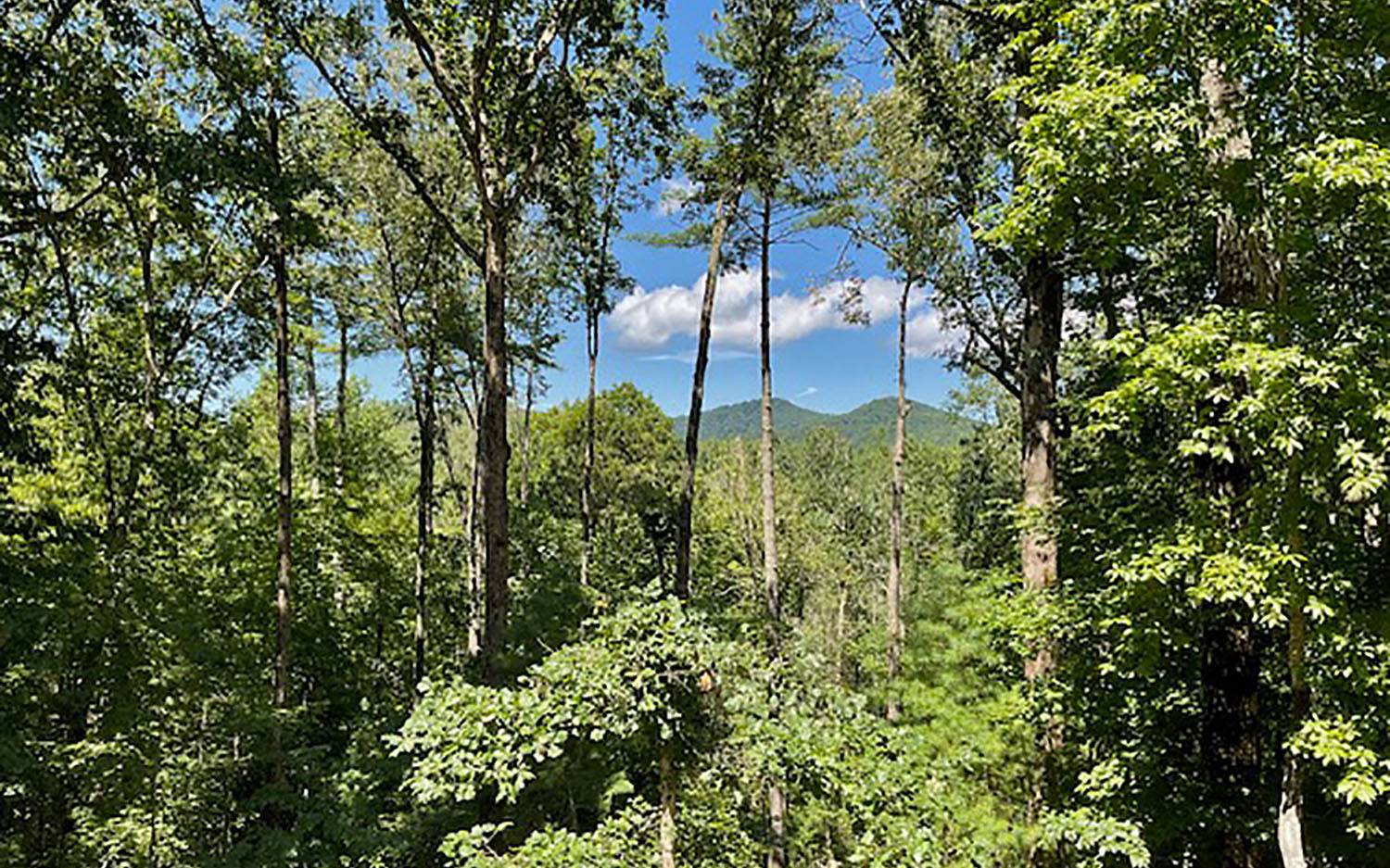 163 Ridgecrest Drive Blue Ridge, GA 30513 - Photo 24 of 55 Additional View