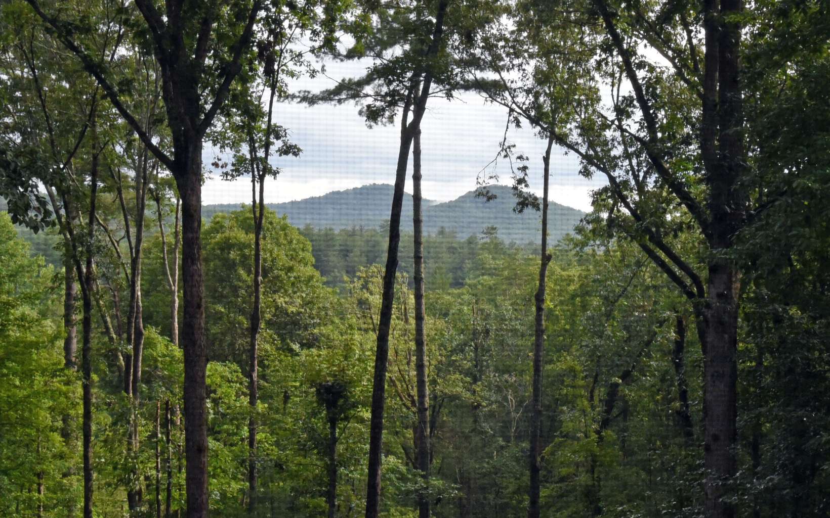 163 Ridgecrest Drive Blue Ridge, GA 30513 - Photo 39 of 55 Additional View