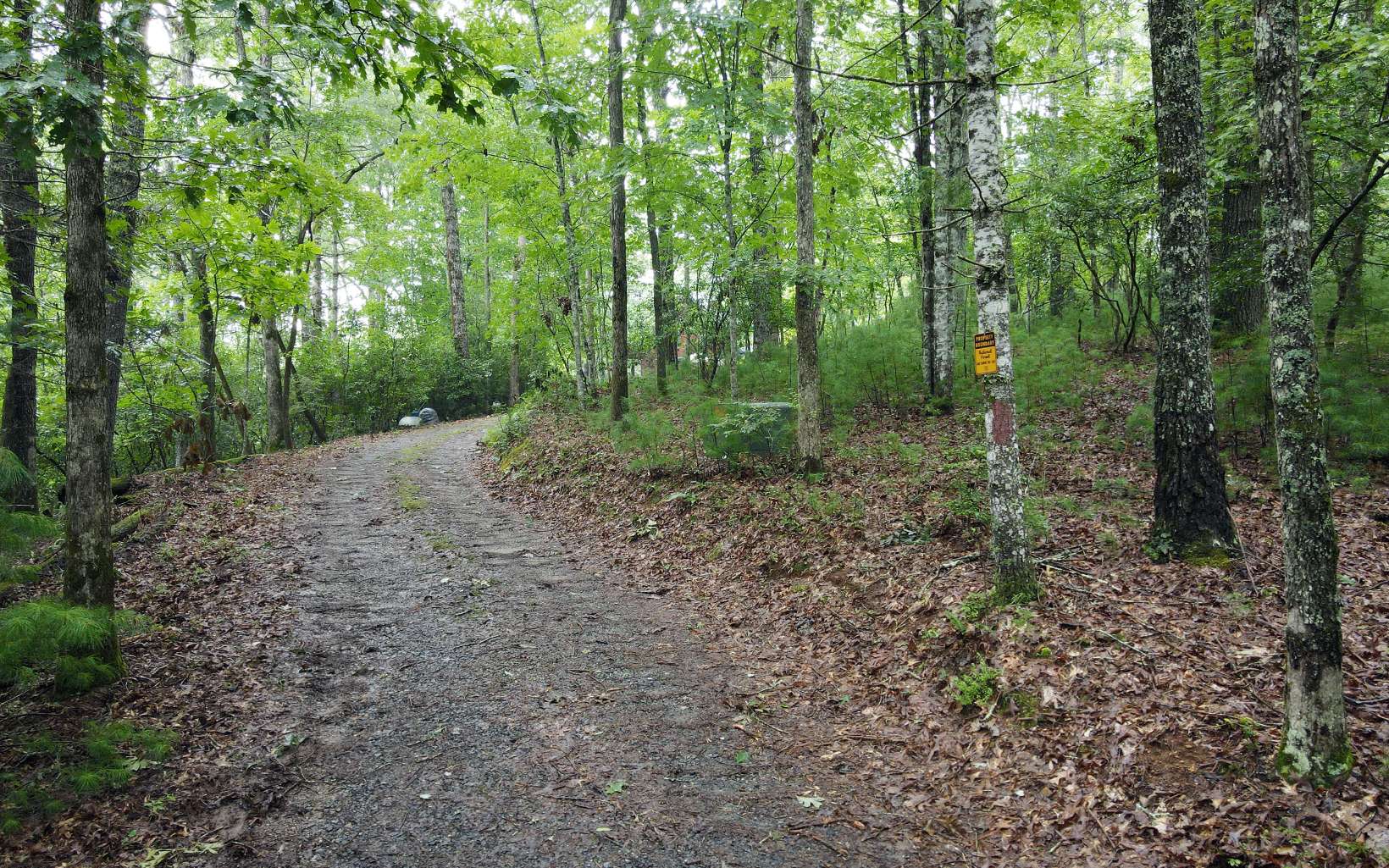 163 Ridgecrest Drive Blue Ridge, GA 30513 - Photo 5 of 55 Additional View