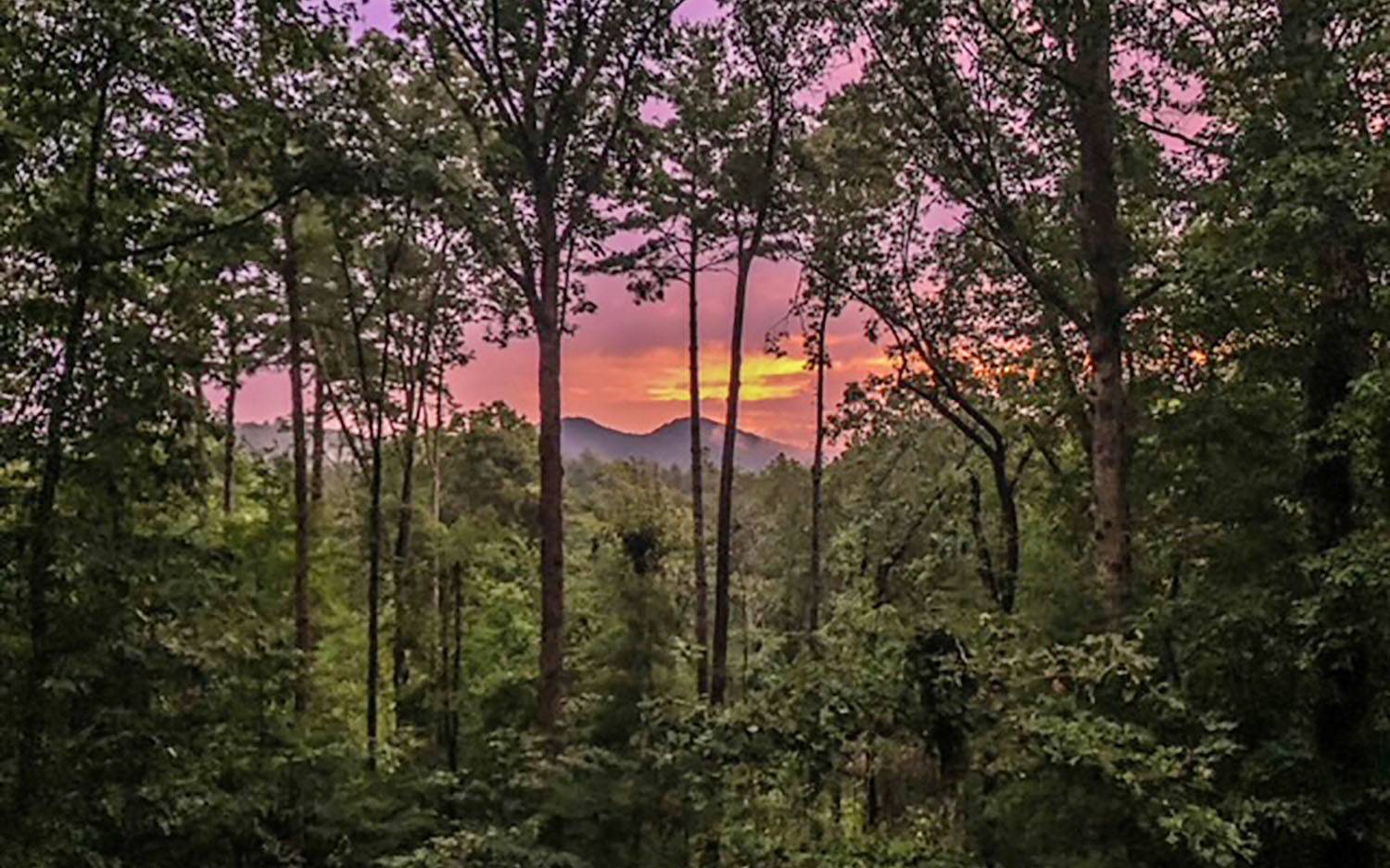 163 Ridgecrest Drive Blue Ridge, GA 30513 - Photo 10 of 55 Additional View