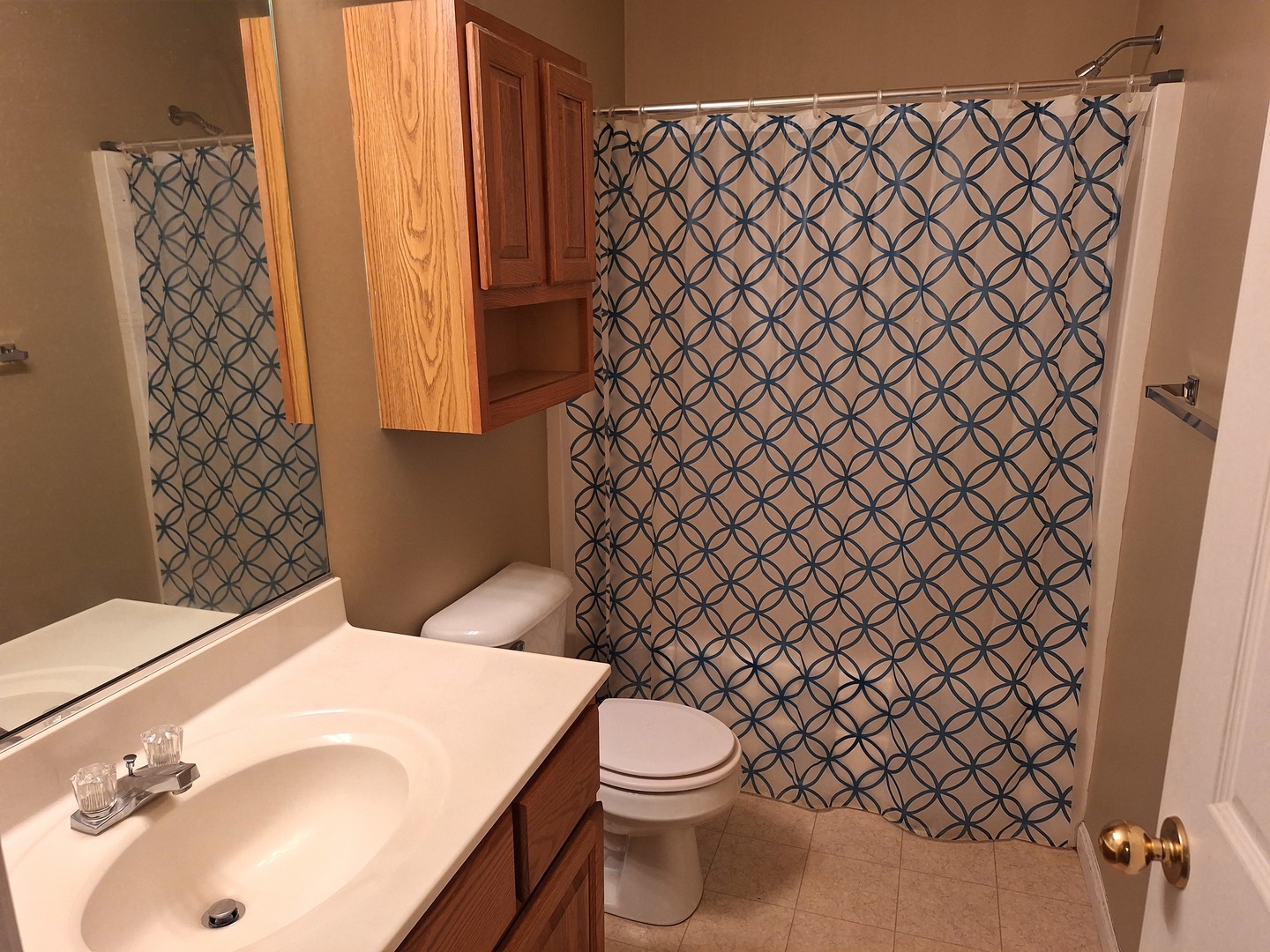 1104 Whitaker Street Normal, IL 61761 - Photo 11 of 19 a bathroom with a sink and a toilet