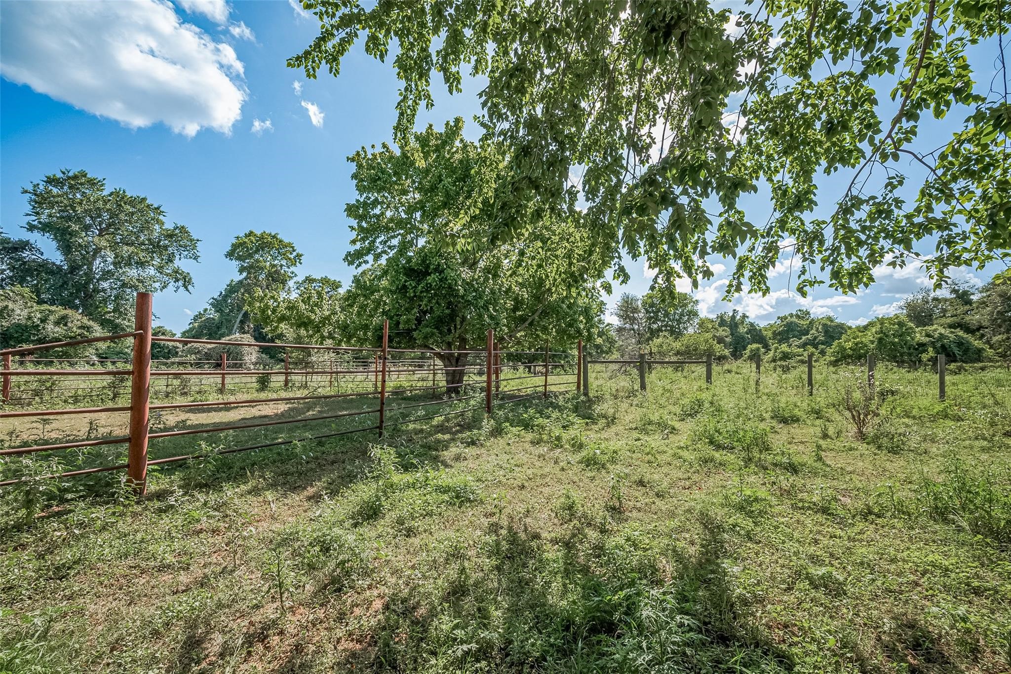 2511 Hartwell Road Pattison, TX 77423 - Photo 23 of 27 Fenced and cross-fenced acreage ready for agricultural or equestrian use.