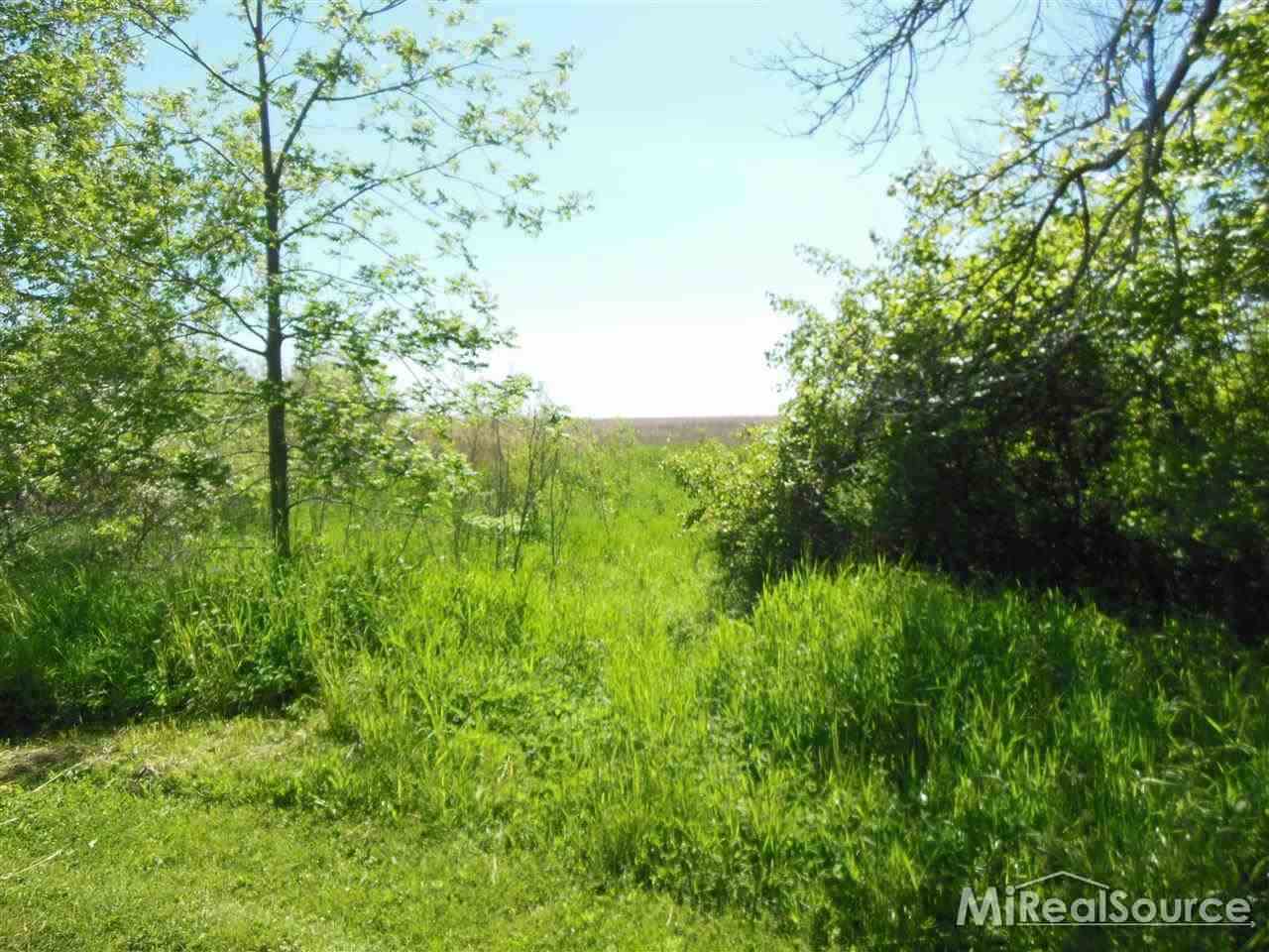 0 Rapson Road Bad Axe, MI 48413 - Photo 1 of 10