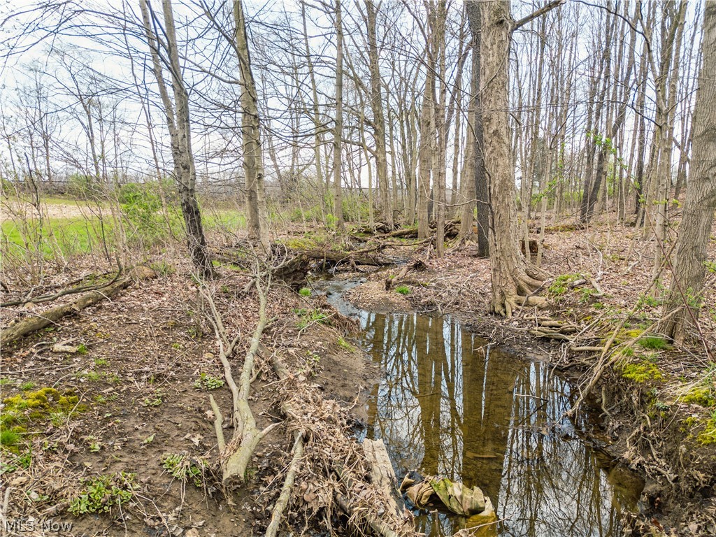 Steiner Road Sterling, OH 44276 - Photo 15 of 22