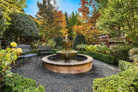 a view of a backyard with plants and some trees