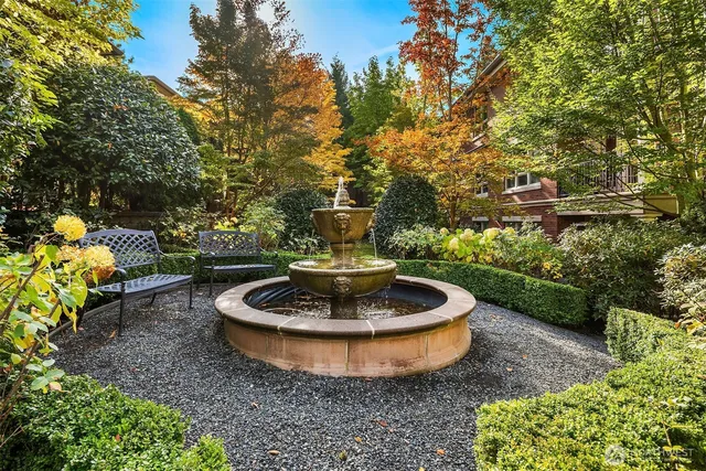 a view of a backyard with plants and some trees