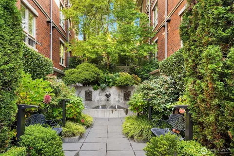 a view of a garden with plants