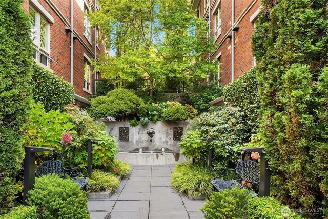 a view of a garden with plants