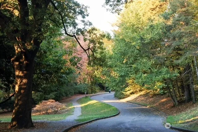 a view of a street with a tree