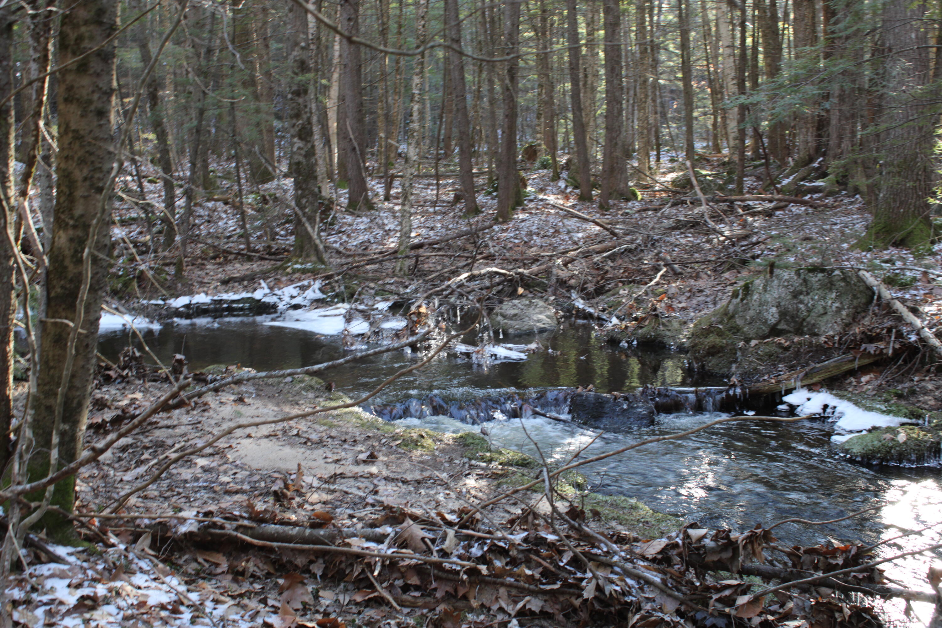 0 Senator Black Road West Baldwin, ME 04091 - Photo 12 of 16 senblackpic16