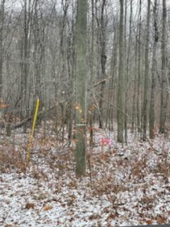 Redwood Road Roscommon, MI 48653 - Photo 5 of 9