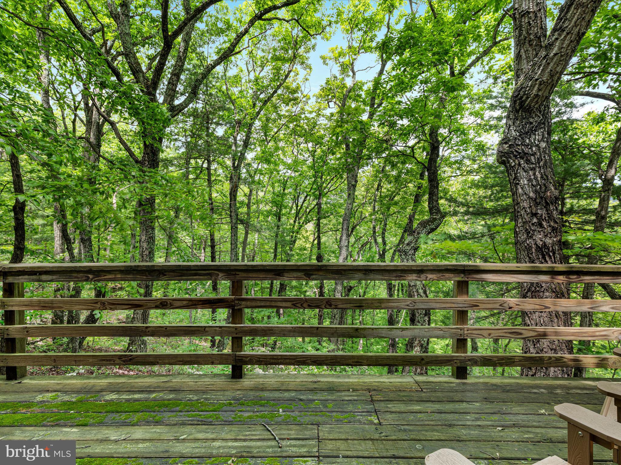 267 Bushy Ridge Drive Star Tannery, VA 22654 - Photo 11 of 37 2E6A6618_267 Bushy Ridge Dr - Absolute Altitude -